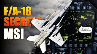 MSI Explained: You're Using It, But Not to Its Full Potential | DCS | F/A-18 Hornet