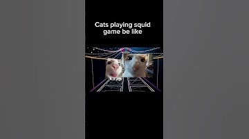 Cats playing squid game #squidgame #squidgame2 #shorts #fypシ゚ #viral #animation #squidgameseason2