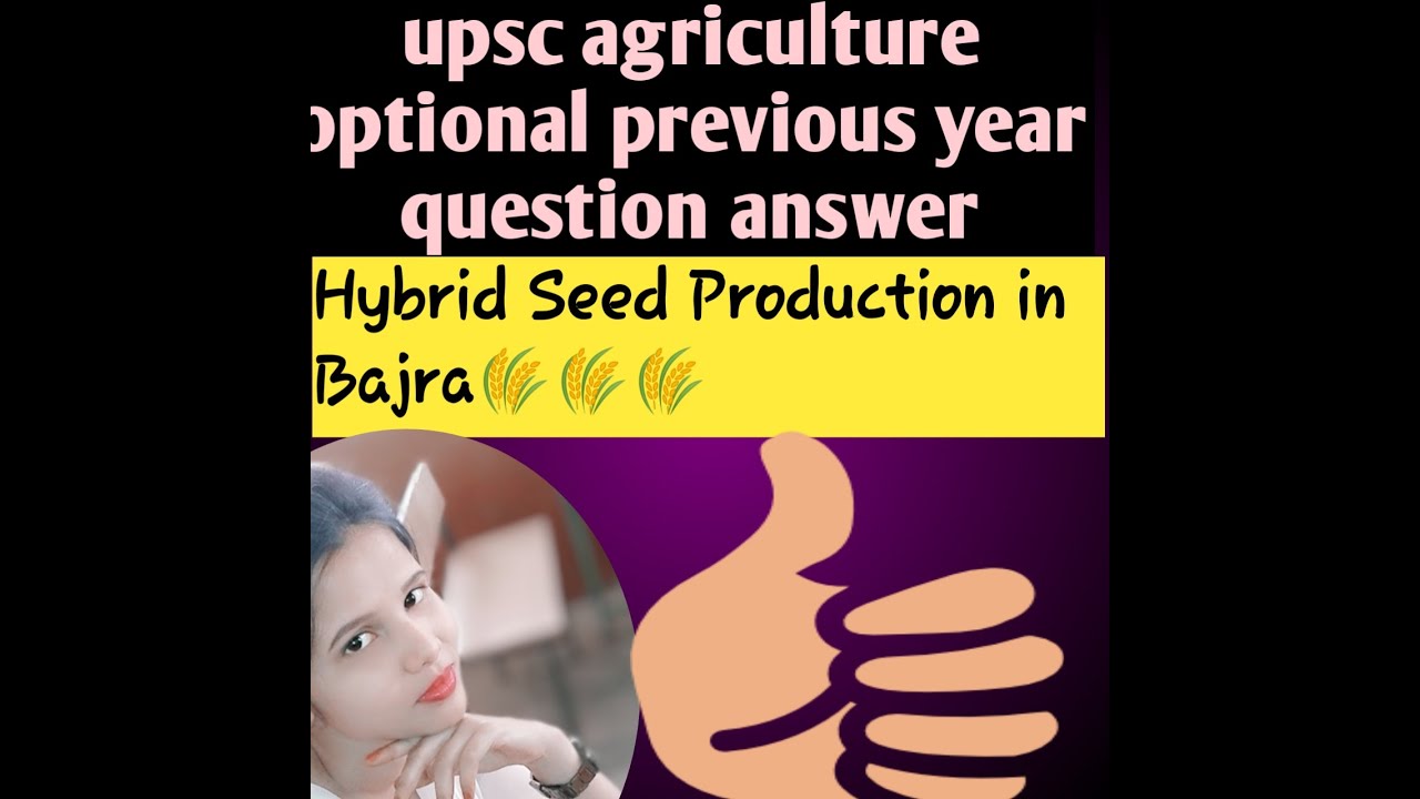 Hybrid seed production in Bajra(upsc agriculture optional previous year question) 20 marks