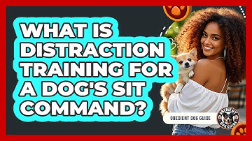 What Is Distraction Training For A Dog