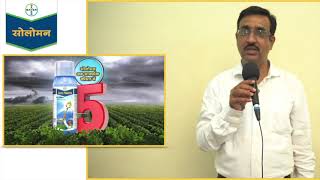 Aphid Solution - Bayer Solomon Farmer Meet | Bayer Crop Science India