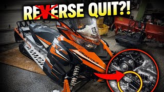 Famous Snowmobile Reverse Not Working – EASY FIX! Wealth
