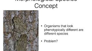 Week 5: Speciation & Extinction_1