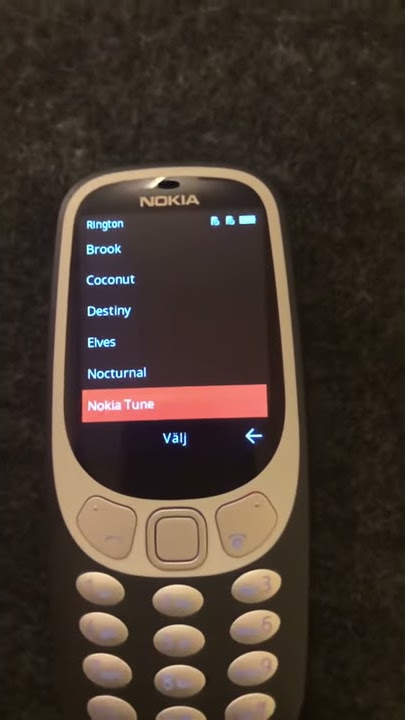 New Nokia 3310 standard ringtone classic