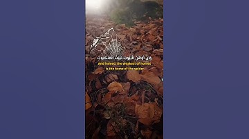 إن أوهن البيوت لبيت العنكبوت #سورة_العنكبوت