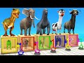 Cow Elephant Gorilla Dinosaur Buffalo Guess The Right Key LONG NECK RUN ESCAPE ROOM Animal Cage Game