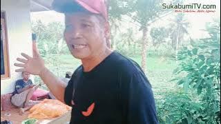 GURIHNYA Bisnis Kedelai Edamame Harga Jual Tinggi, Masa Tanam lebih Pendek