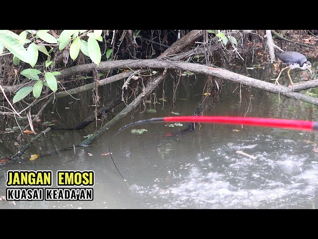 Bisa naik darah, ketemu spot mancing seperti ini class=