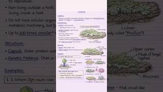 LICHENS #kingdom system of classification #animals kingdom #biology #neet #pw #shortvideo #shorts