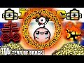 BURNING RING OF FIRE (Insta-Kill Hush & Delirium) | The Binding of Isaac: AFTERBIRTH PLUS