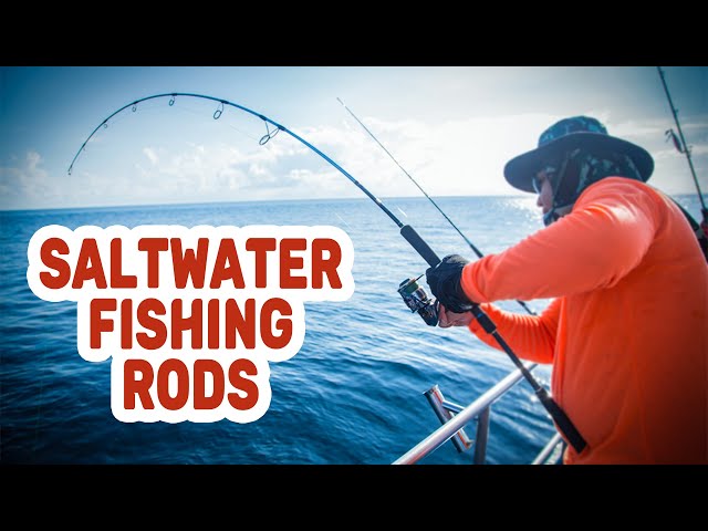 The 10 Best Saltwater Fishing Rods Review in 2022 [Complete Buying Guide] 