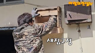 드디어 완성 새집 100프로  분양완료 / 대전예술가의집 앞 3거리 교통라이브 방송~~