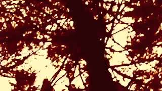 DEMONIUM - Mundo De Destrucción - Video Oficial