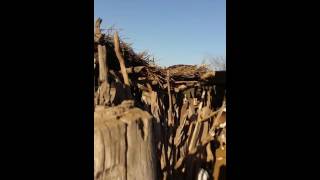 En el corral  - La Abrita , Río Hondo , Santiago del estero