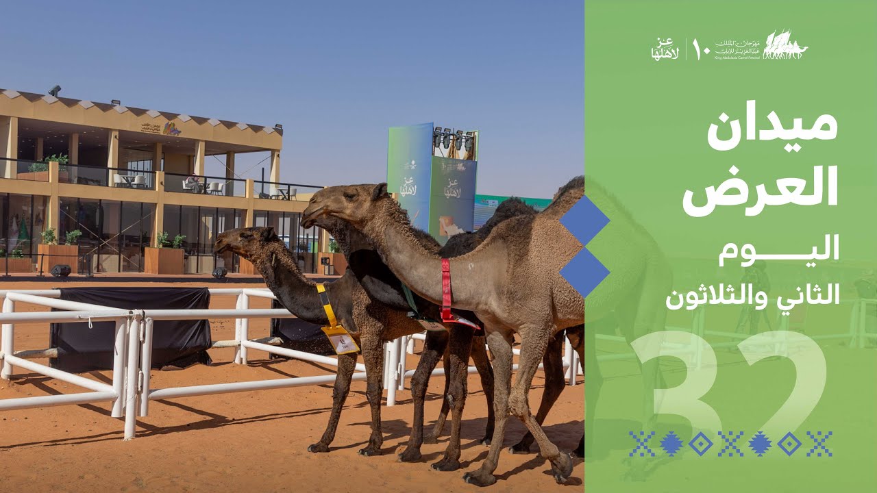 ميدان العرض في اليوم الثاني والثلاثون من 