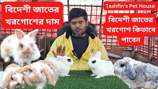 খরগোশের দাম জানুন। বিদেশি জাতের খরগোশের দাম। Rabbit Price।