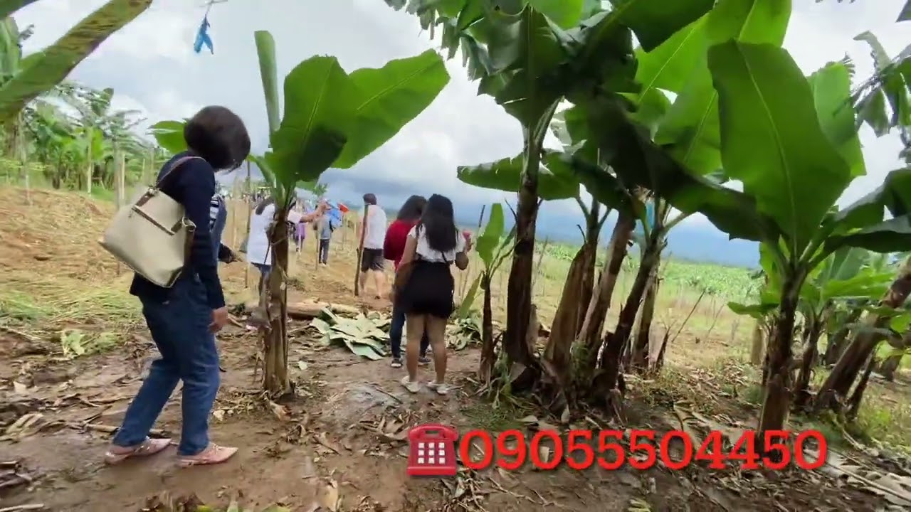 LET’S GO!! SITE TRIPPING TAMAYONG CALINAN LOTS⛰🏕# overlooking 