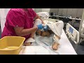 CNA Skills # 12 : Give the Resident Perineal Care (Female Resident)