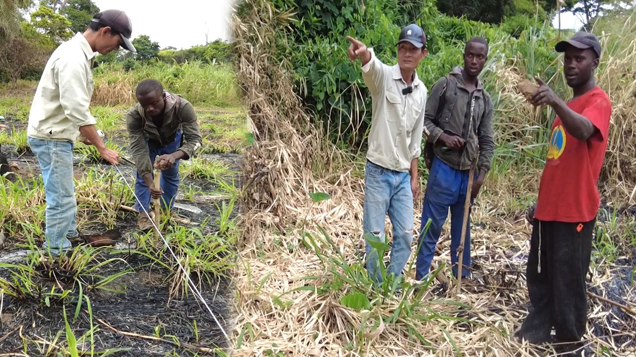 Người dân bản bắt tay vào Căng dây đắp bờ  || Tony phong cuộc sống Châu Phi