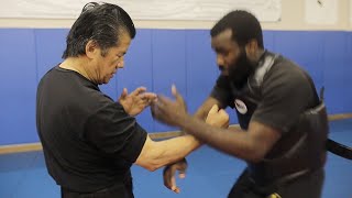 This Wing Chun Master Has CRAZY Power | Sifu Francis Fong