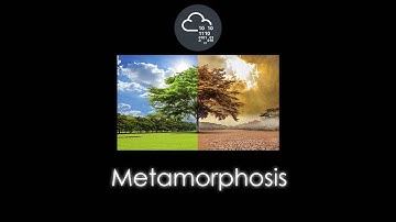 TryHackMe | Metamorphosis Room Walkthrough