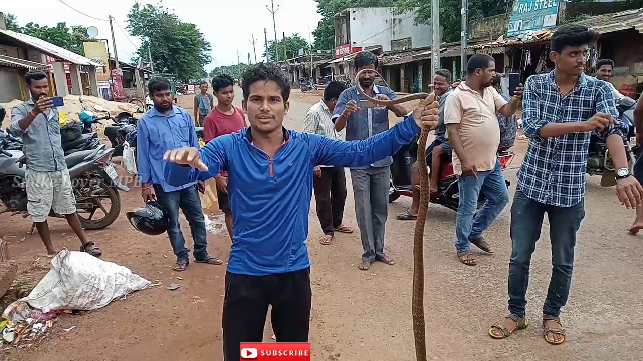 camera iphone 8 plus apk ପଣ୍ଡୁଆ ବଜାର ରୁ ସାପ ଉଦ୍ଧାର || Snake Rescue From Pandua Bazar || Snake Lover MPB