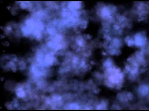 Футаж облако пыли
