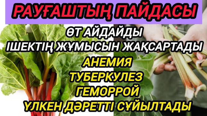 Әдемі, қисық қызбен жыныстық қатынас (видео) Үлкен кискалардың порнографиялық суреттері