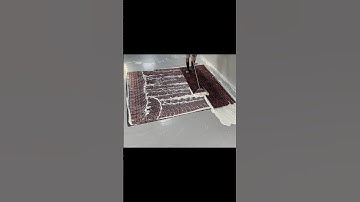 Do embassy rugs even get dirty? #RugCleaning #ASMRCleaning #Squeegee #CarpetCleaning #CleaningVideos