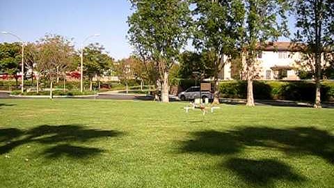 First test flight of my Aeroquad prototype - Complete Video tutorial of construction to follow