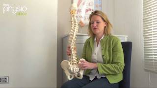 How to acheive Good Posture