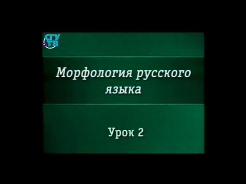 Урок 2. Имя существительное как часть речи. Лексико-грамматические разряды существительных