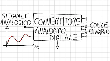 Quali sono gli esercizi a corpo libero?