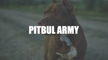 PitbullToken