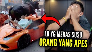 WAJIB DI VIRALIN INI SAMPEK KETEMU PEMILIK SAPI NYA‼️..REACT MEME KOCAK