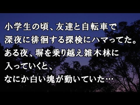 【修羅場　洒落怖】小学生の頃、友達と自転車で深夜に徘徊する探検にハマってた。ある夜、塀を乗り越え雑木林に入っていくと、なにか白い塊が動いていた…　【修羅場・洒落怖のぞき見チャンネル】