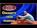 Оживите свои мышцы. Адаптивный комплекс упражнений от Алексея Маматова