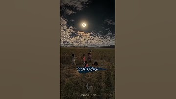 إِنَّ أَصْحَابَ الْجَنَّةِ الْيَوْمَ فِي شُغُلٍ فَاكِهُونَ (55) سوره يس بصوت  القارئ أحمدالشواف
