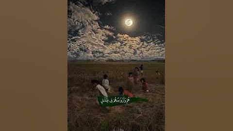 إِنَّ أَصْحَابَ الْجَنَّةِ الْيَوْمَ فِي شُغُلٍ فَاكِهُونَ (55) سوره يس بصوت  القارئ أحمدالشواف