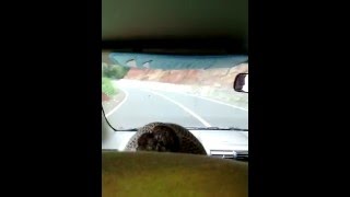 Tikungan Tajam di Jalan liku 9 Bengkulu - Kepahiang part 2