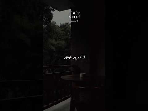 انا عمري مازعل عالي باعني