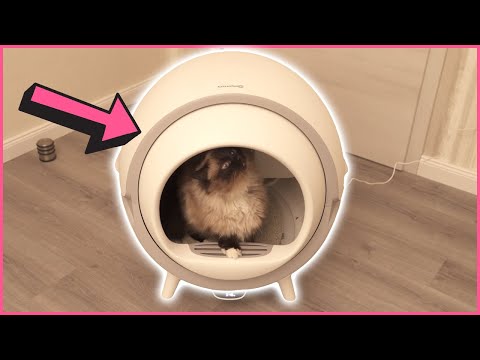Video: Beste automatische Katzentoilette: Cat Box Spinner Review und mehr