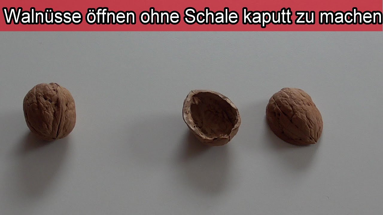 Wie Bekomme Ich Walnuss Braune Finger Sauber Walnüsse knacken OHNE Bruch – Anleitung Walnuß öffnen ohne zu
