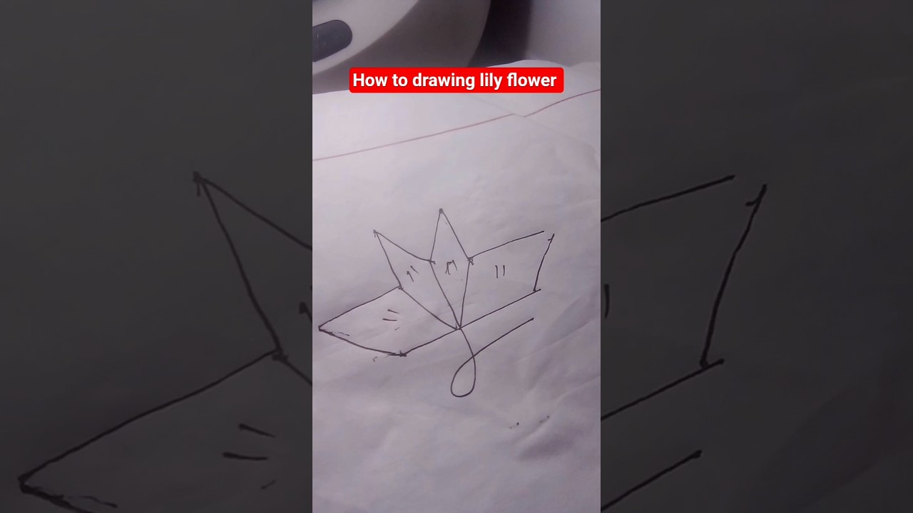 How to make drawing Lily flower #trending #art #drawing #vairalvideo #youtubeshorts
