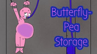 Butterfly-Pea Storage