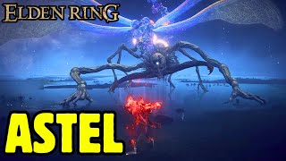 Astel Naturalborn of the Void Cheese - Elden Ring Astel Naturalborn of the Void Cheese - Elden Ring