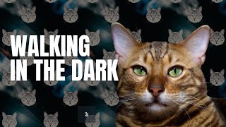 Walking Your Cat in the Dark by Your Purrfect Cat 27 views 10 months ago 5 minutes, 24 seconds