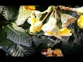 Weirdcore - [ -0° ]