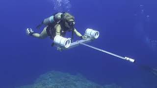 Female Scuba Diver Underwater Research