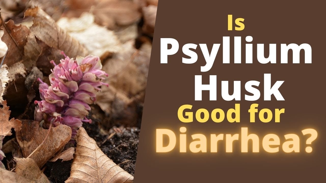 Psyllium Husk for Diarrhea Does it Help or Cause Diarrhea? YouTube